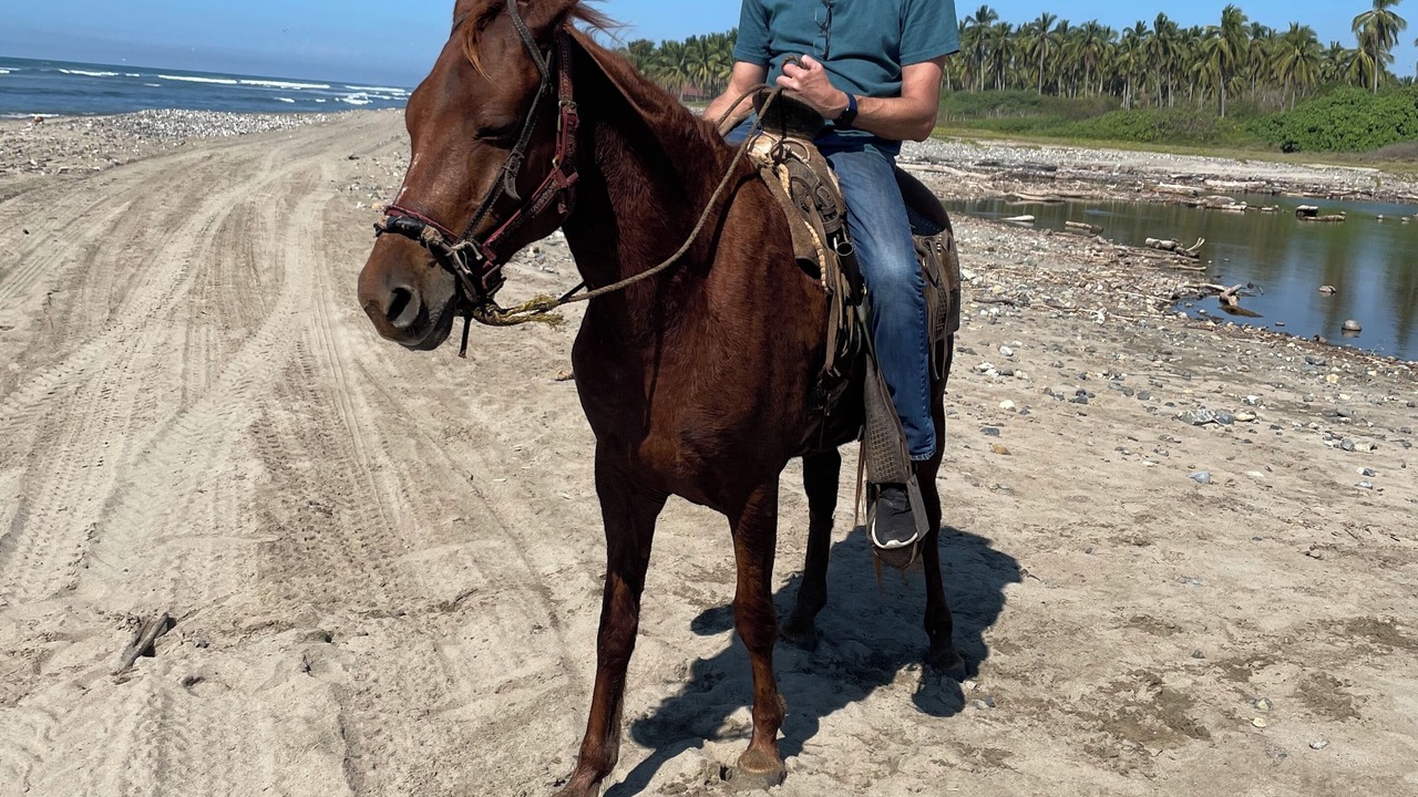 Photo of Others in Troncones