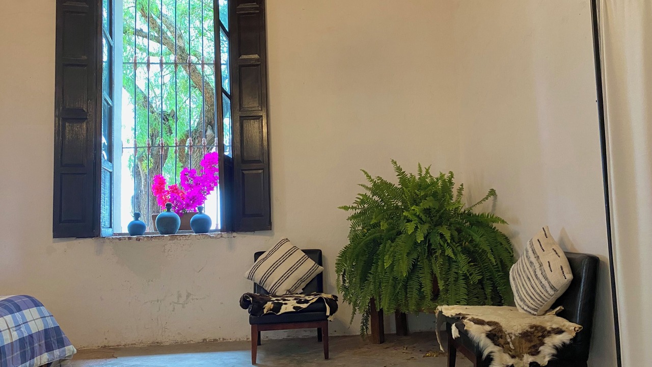 Photo of Others in Hidalgo