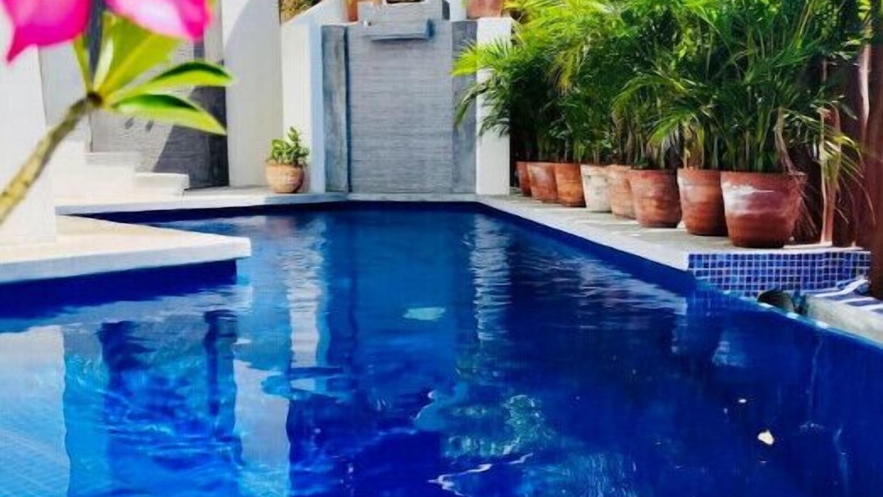 Photo of Outdoor in La Manzanilla