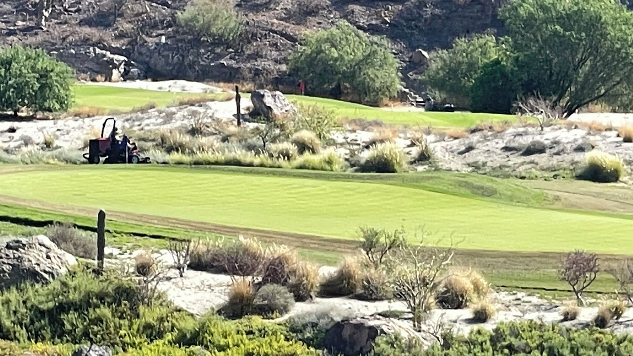 Photo of Others in Mulege