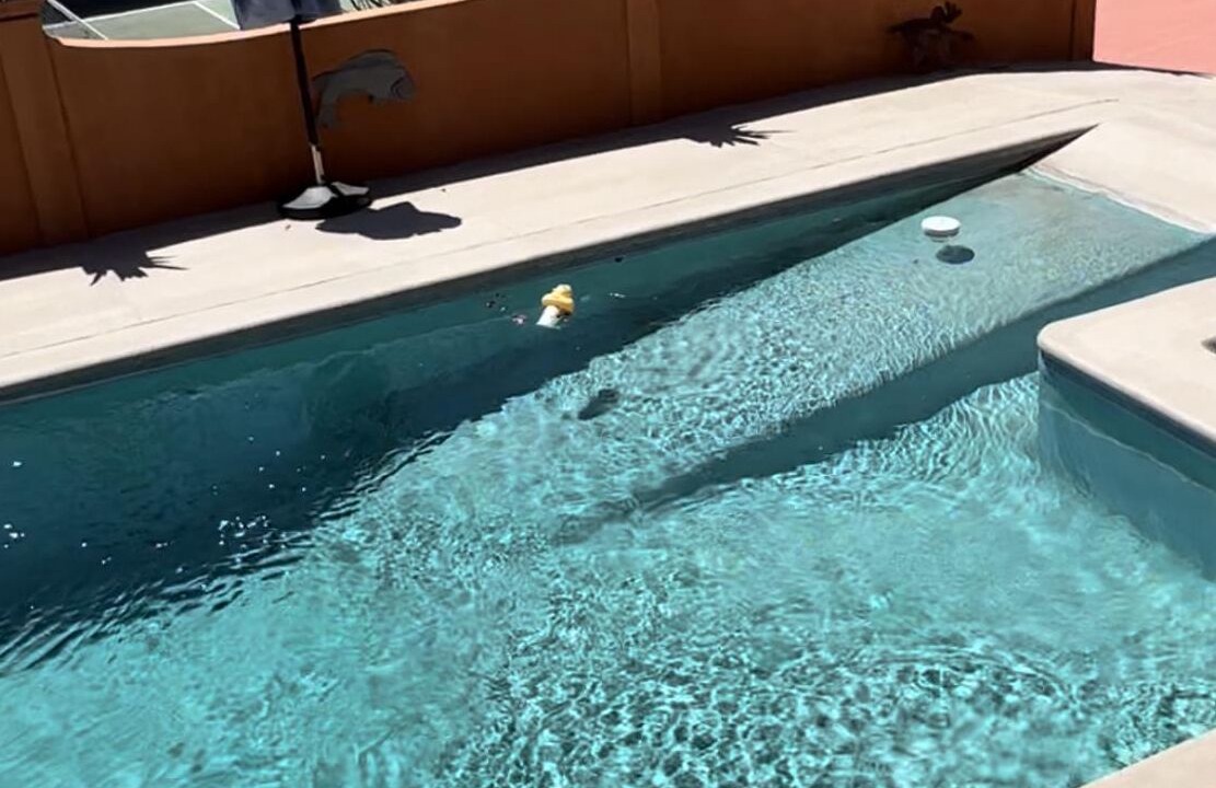 Photo of Outdoor in San Carlos