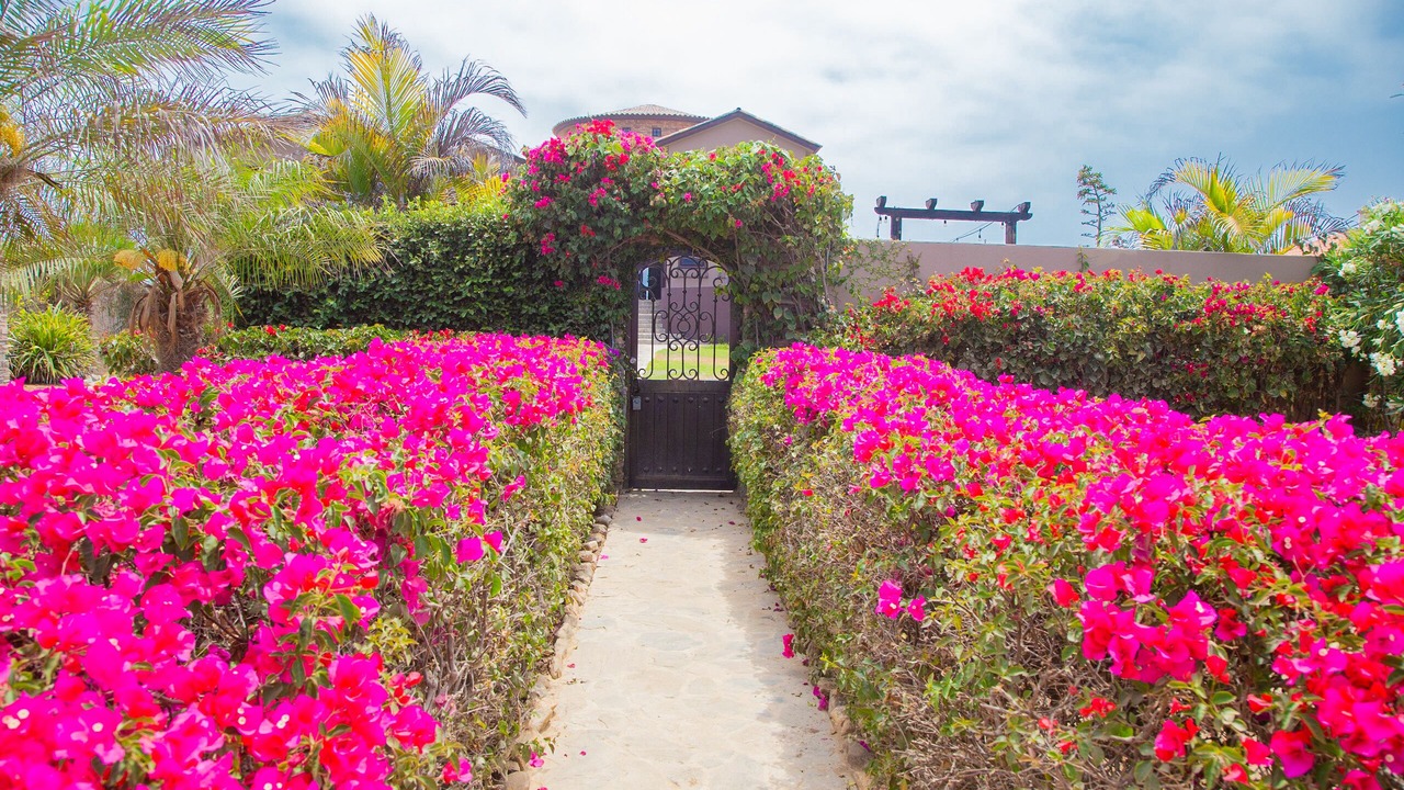 Photo of Others in Cerritos