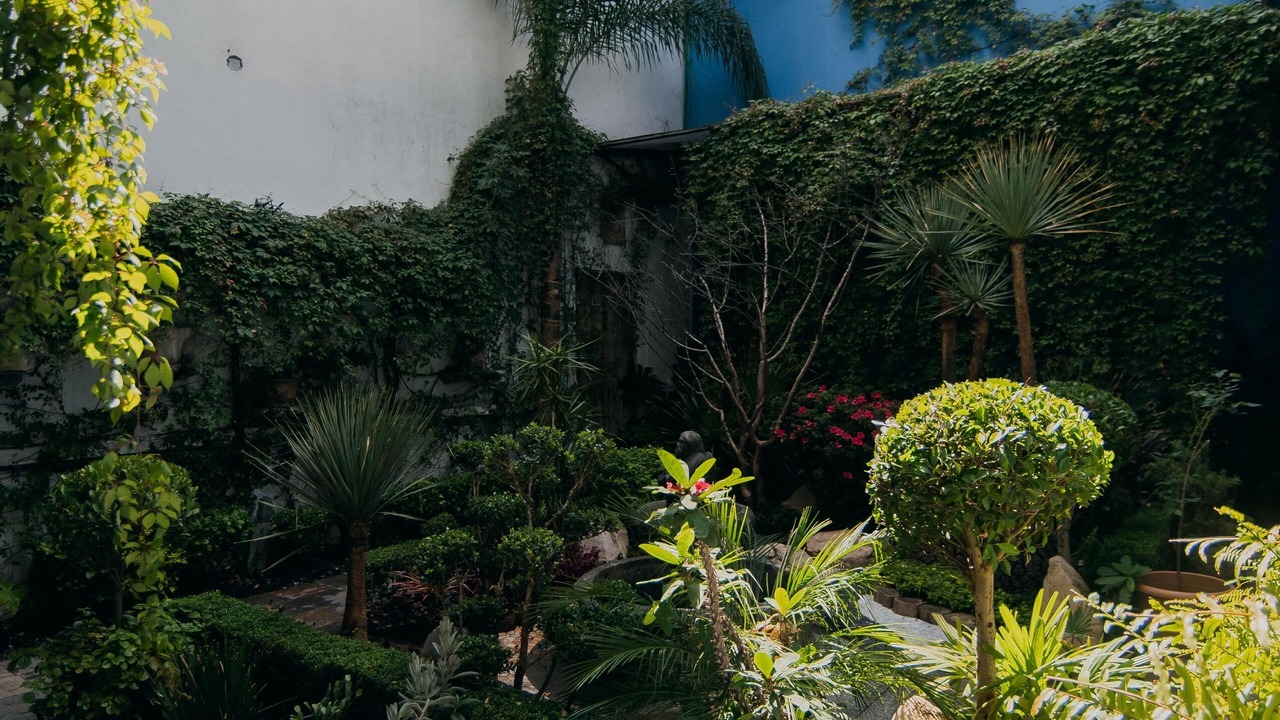Photo of Outdoor in El Carmen