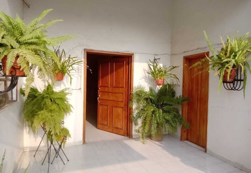 Photo of Outdoor in Xilitla