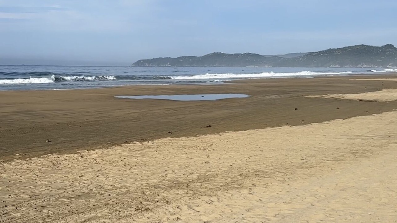 Photo of Others in Ixtapa - Zihuatanejo