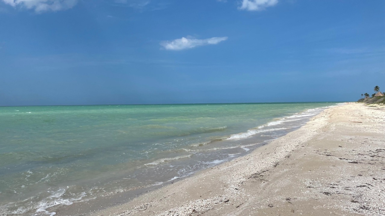 Photo of Others in Yucatan Peninsula