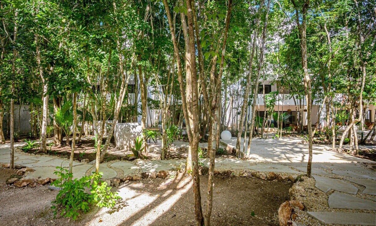 Photo of Outdoor in Bacalar