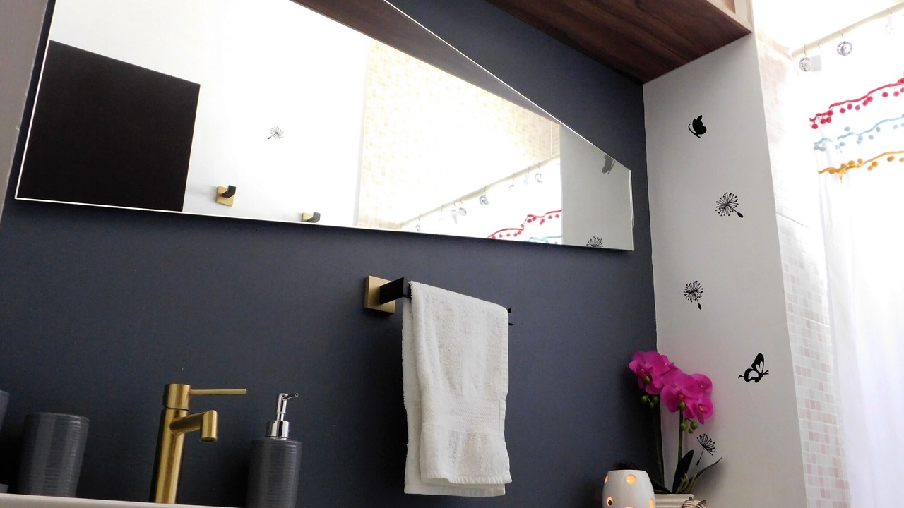 Photo of Bathroom in Agricola Pantitlan