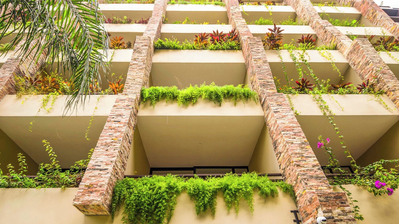 Photo of Outdoor in Centro