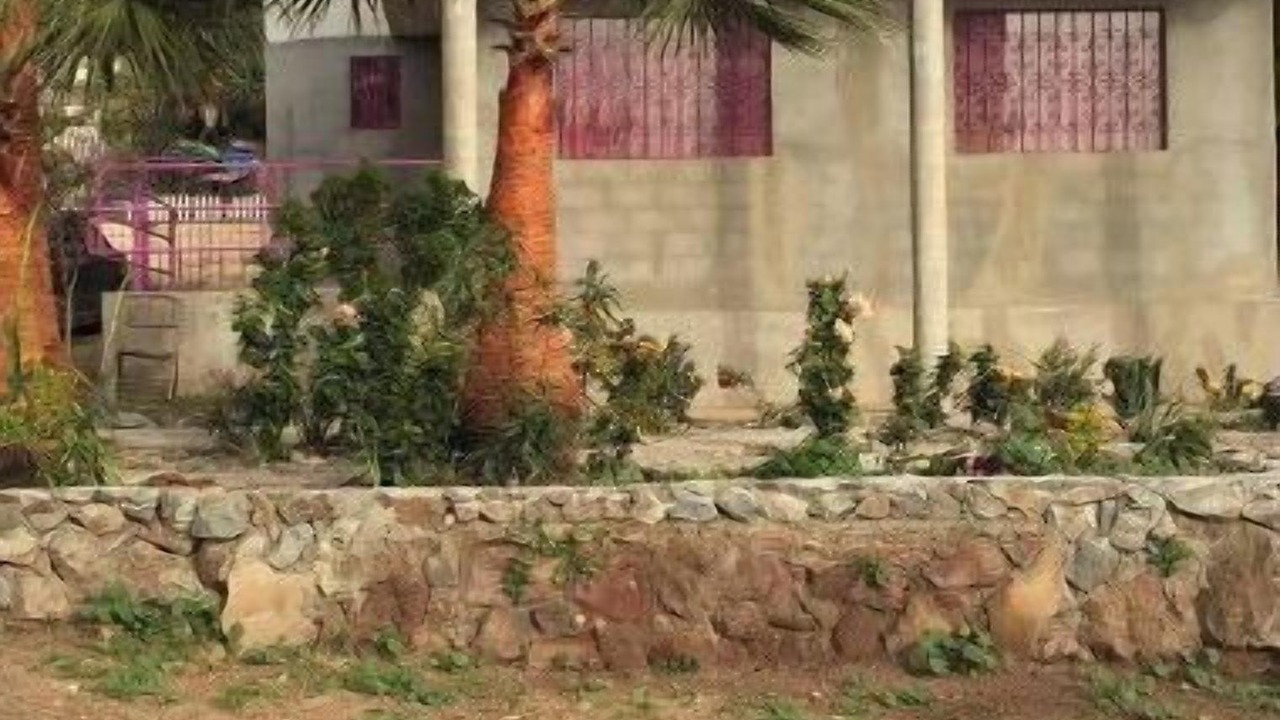 Photo of Outdoor in Alvaro Obregon