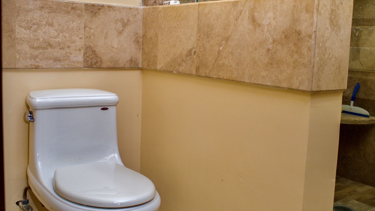 Photo of Bathroom in Downtown Mazatlan