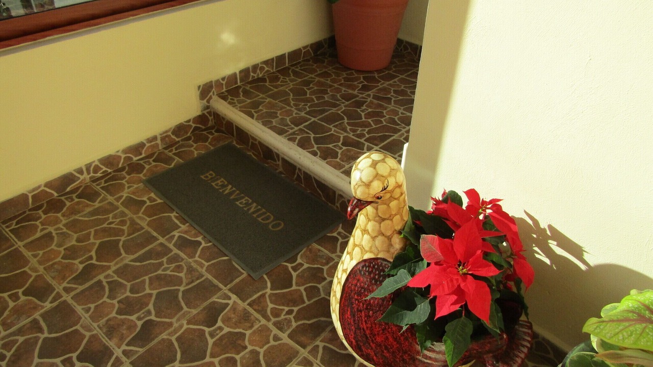 Photo of Outdoor in Xpujil