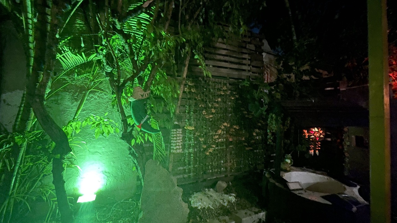 Photo of Outdoor in Campeche