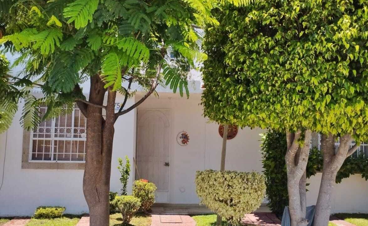 Photo of Outdoor in Morelos