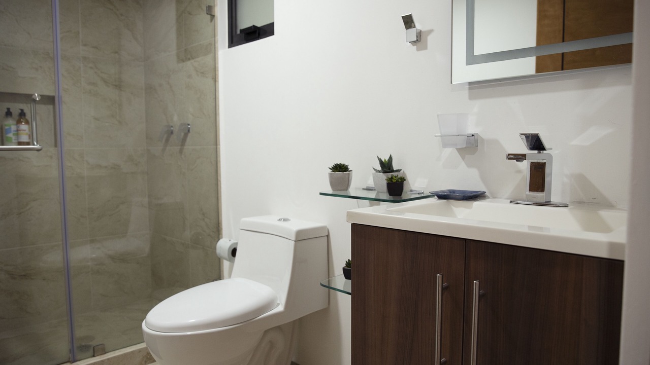 Photo of Bathroom in Colonia Cuauhtemoc