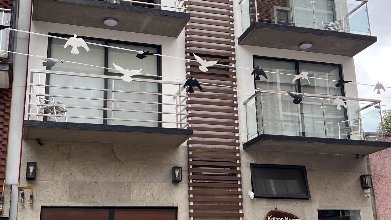 Photo of Outdoor in Colonia Cuauhtemoc