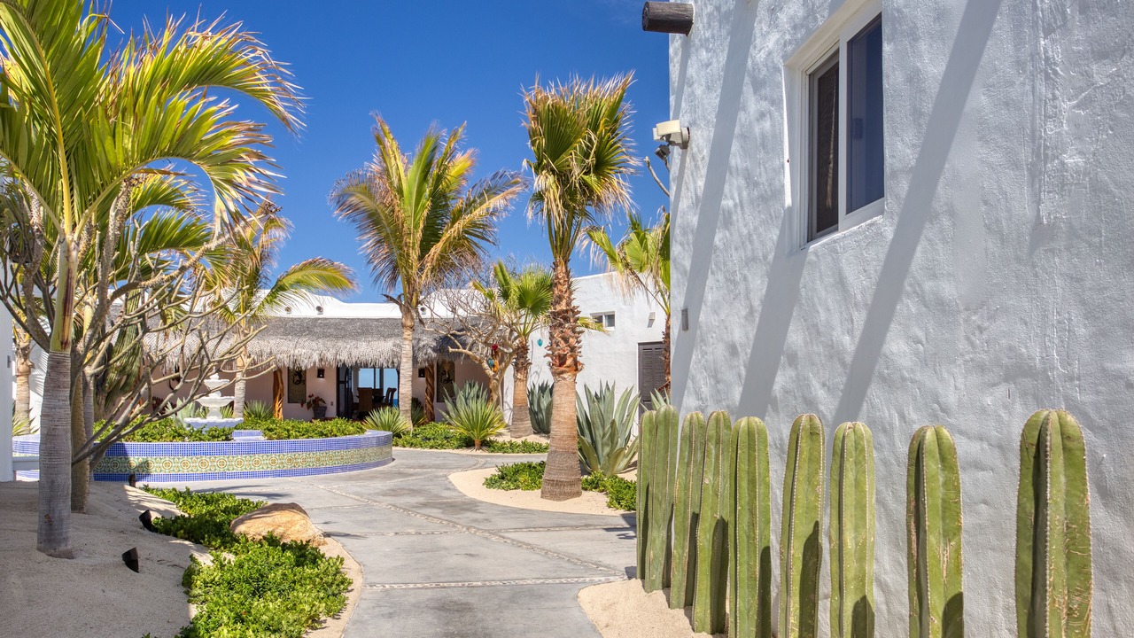 Photo of Outdoor in Buenavista