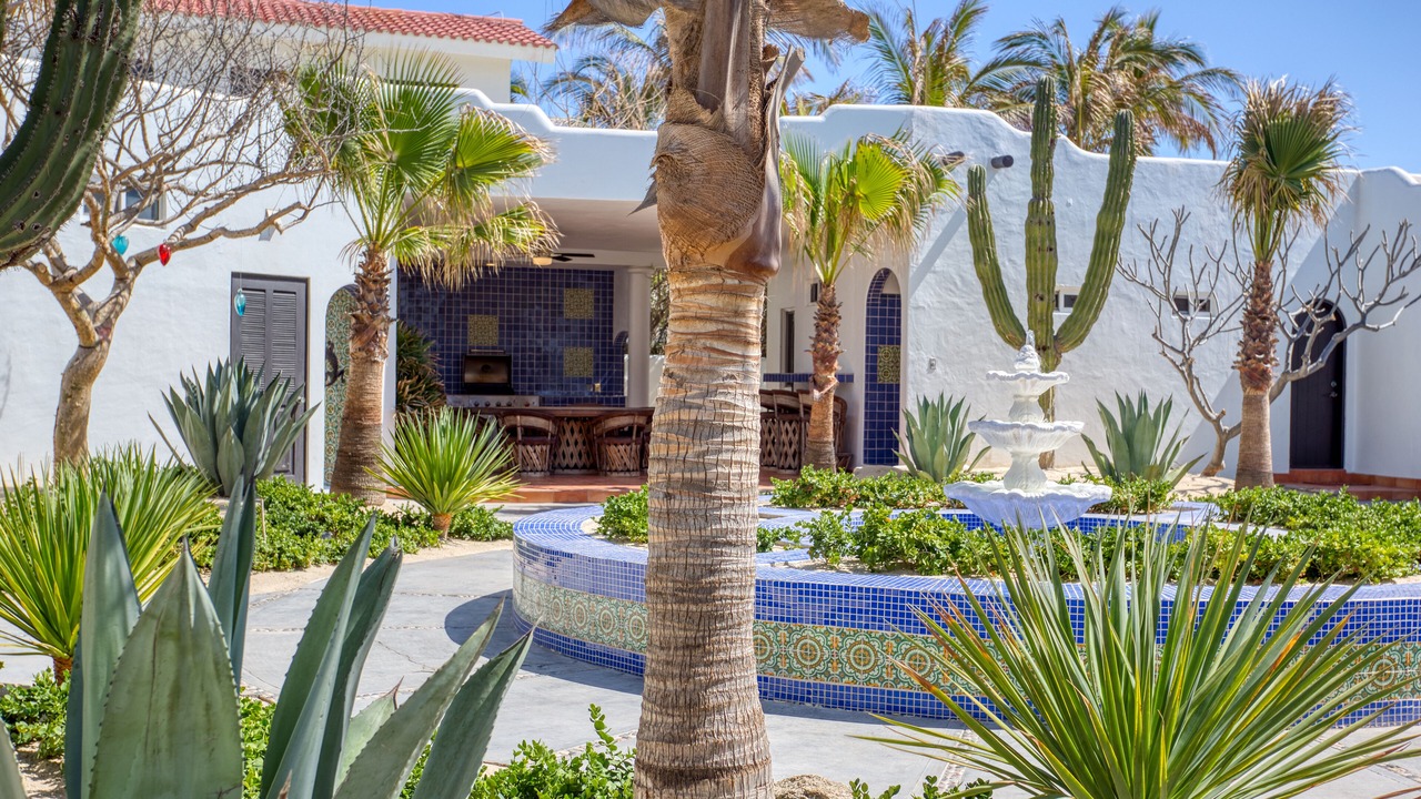 Photo of Outdoor in Buenavista