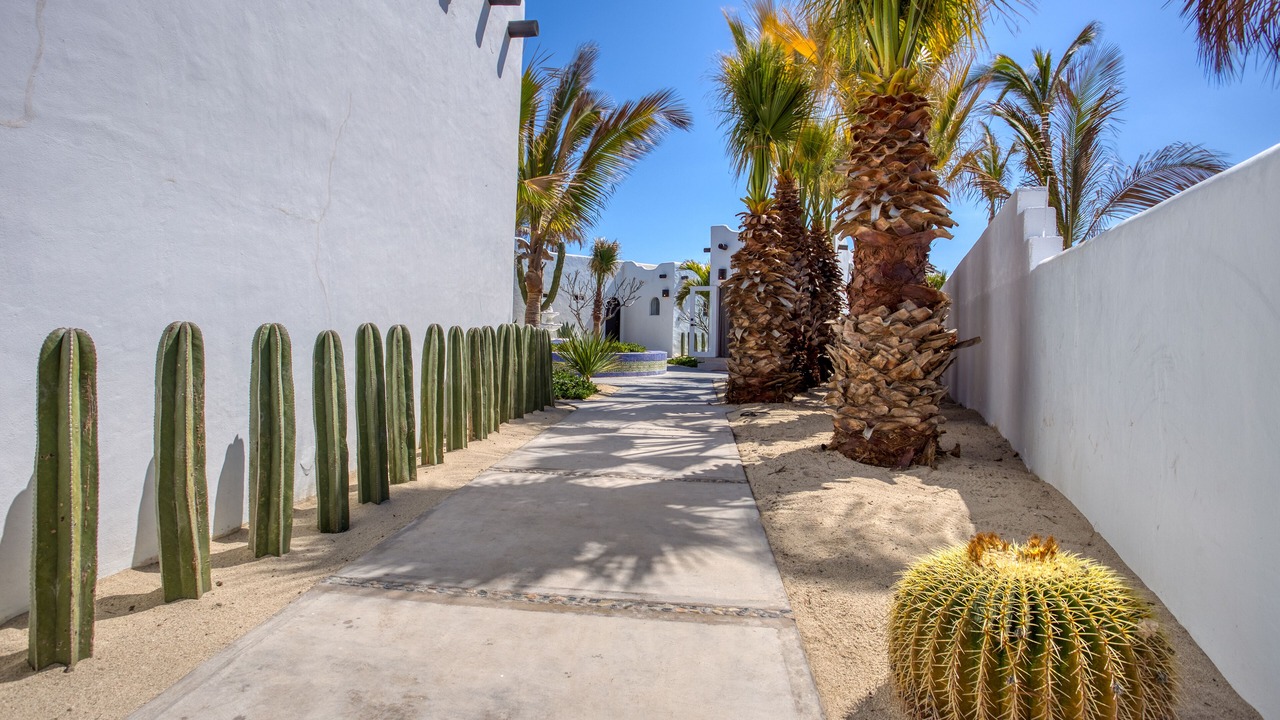 Photo of Outdoor in Buenavista
