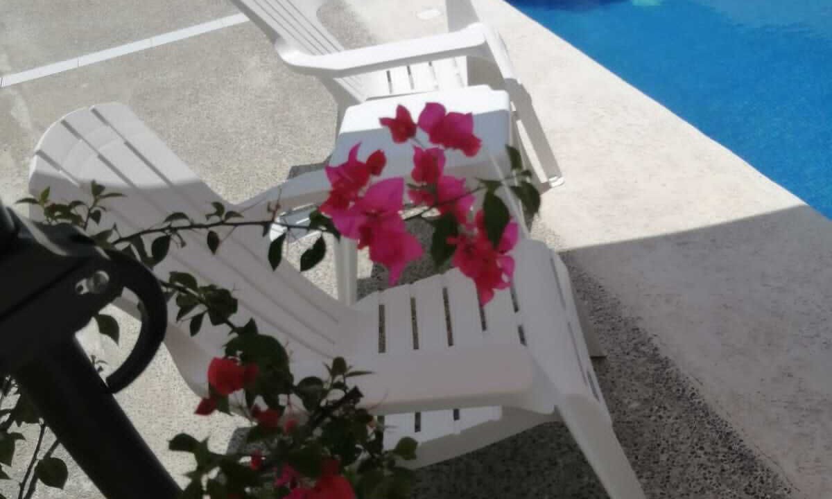 Photo of Outdoor in Las Gaviotas