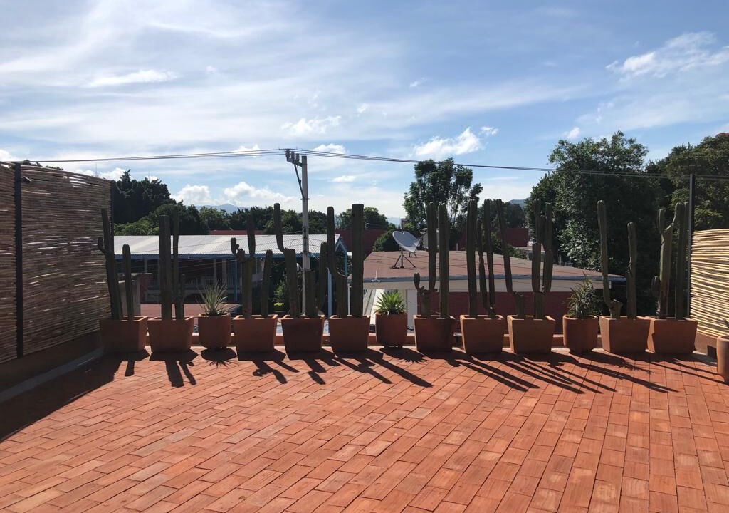 Photo of Outdoor in Jalatlaco