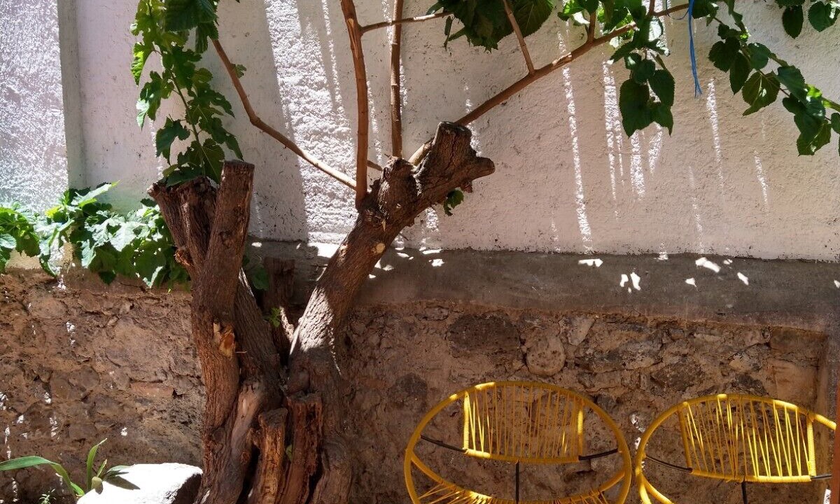 Photo of Patio Balcony in Tulancingo