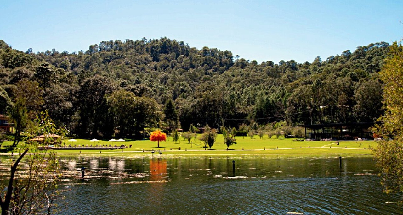 Photo of Outdoor in Mascota