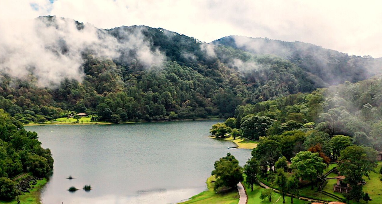 Photo of Others in Mascota