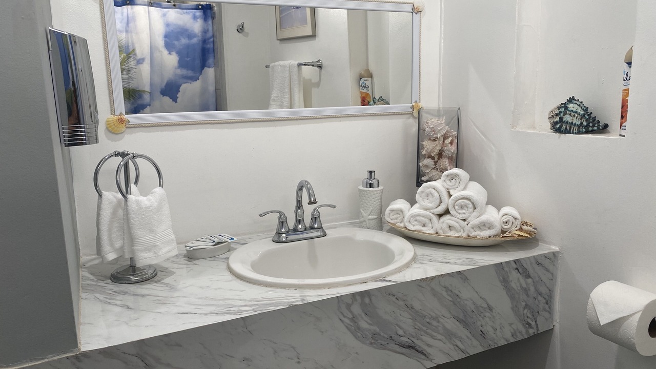 Photo of Bathroom in Valle Dorado