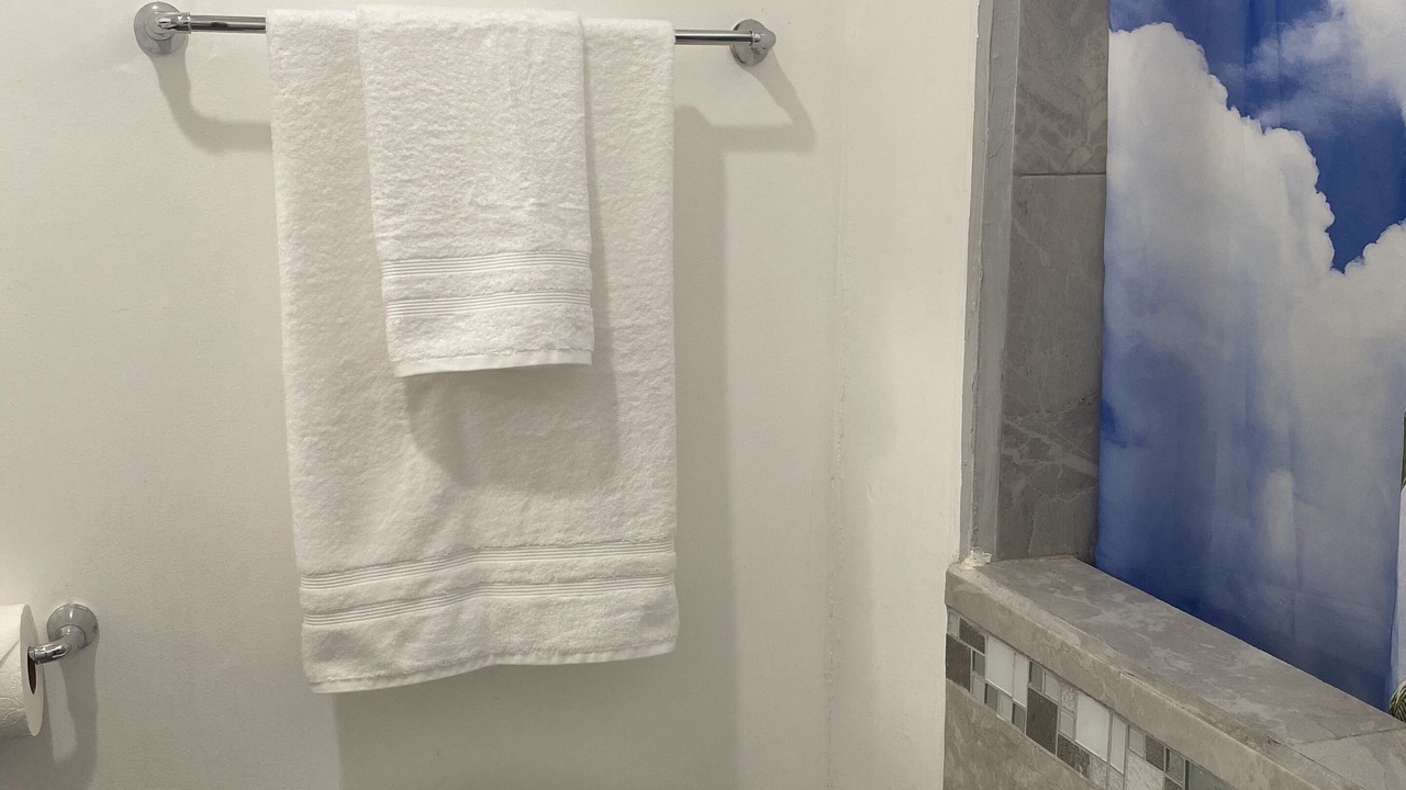 Photo of Bathroom in Valle Dorado