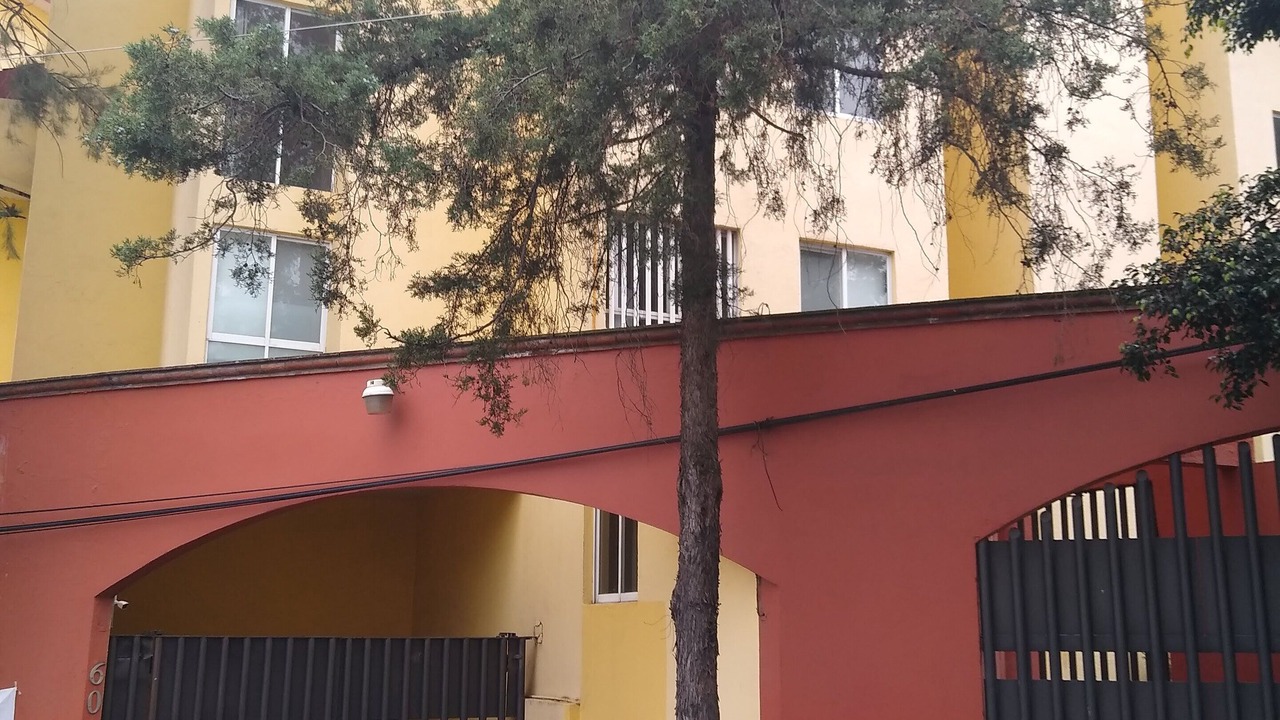 Photo of Outdoor in Coyoacan