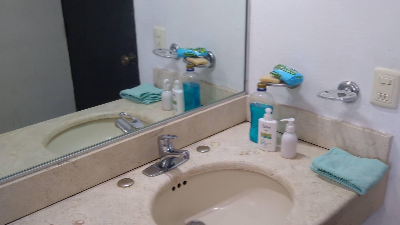 Photo of Bathroom in Coyoacan
