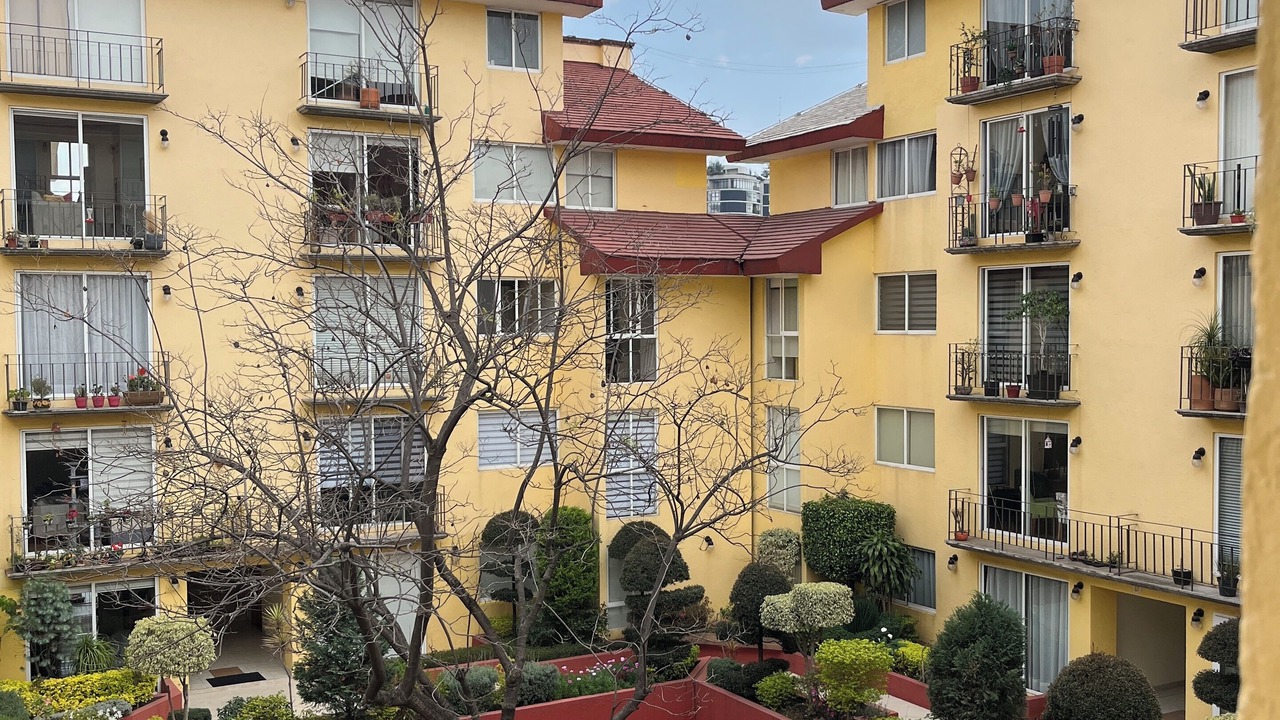 Photo of Outdoor in Coyoacan
