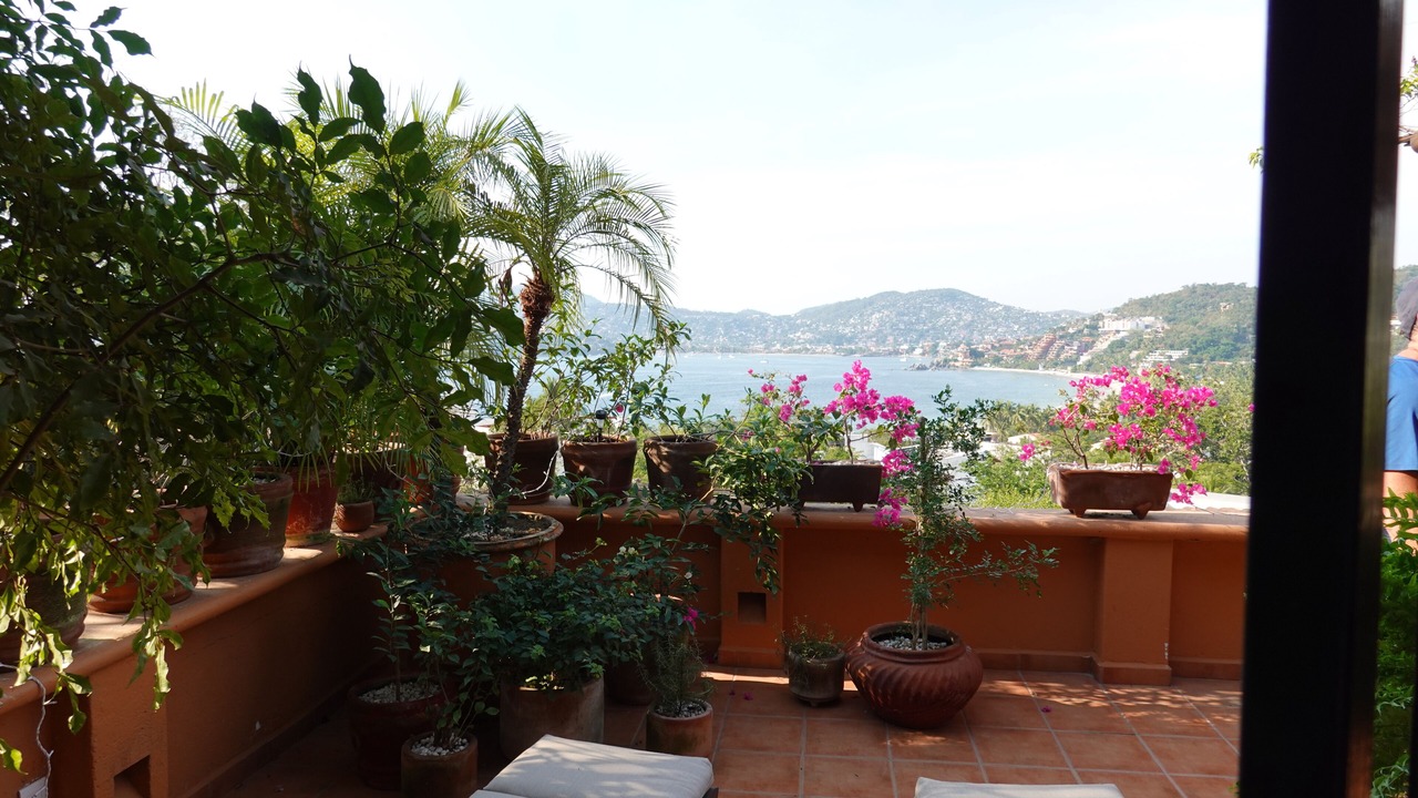 Photo of Outdoor in Playa Las Gatas