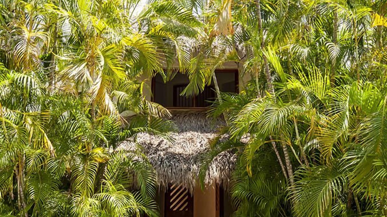 Photo of Outdoor in Ixtapa