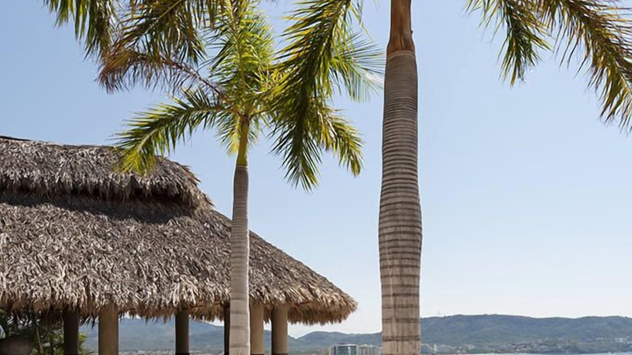 Photo of Patio Balcony in Ixtapa