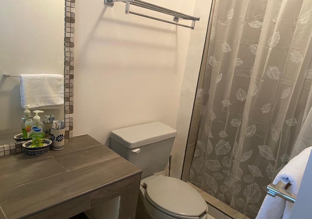 Photo of Bathroom in Ixtapa