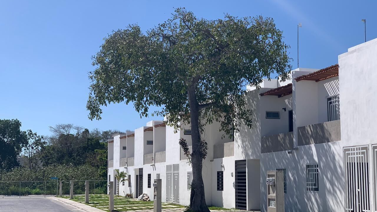 Photo of Outdoor in Puerto Morelos