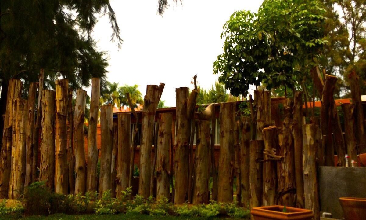 Photo of Others in Jardines de Ahuatepec