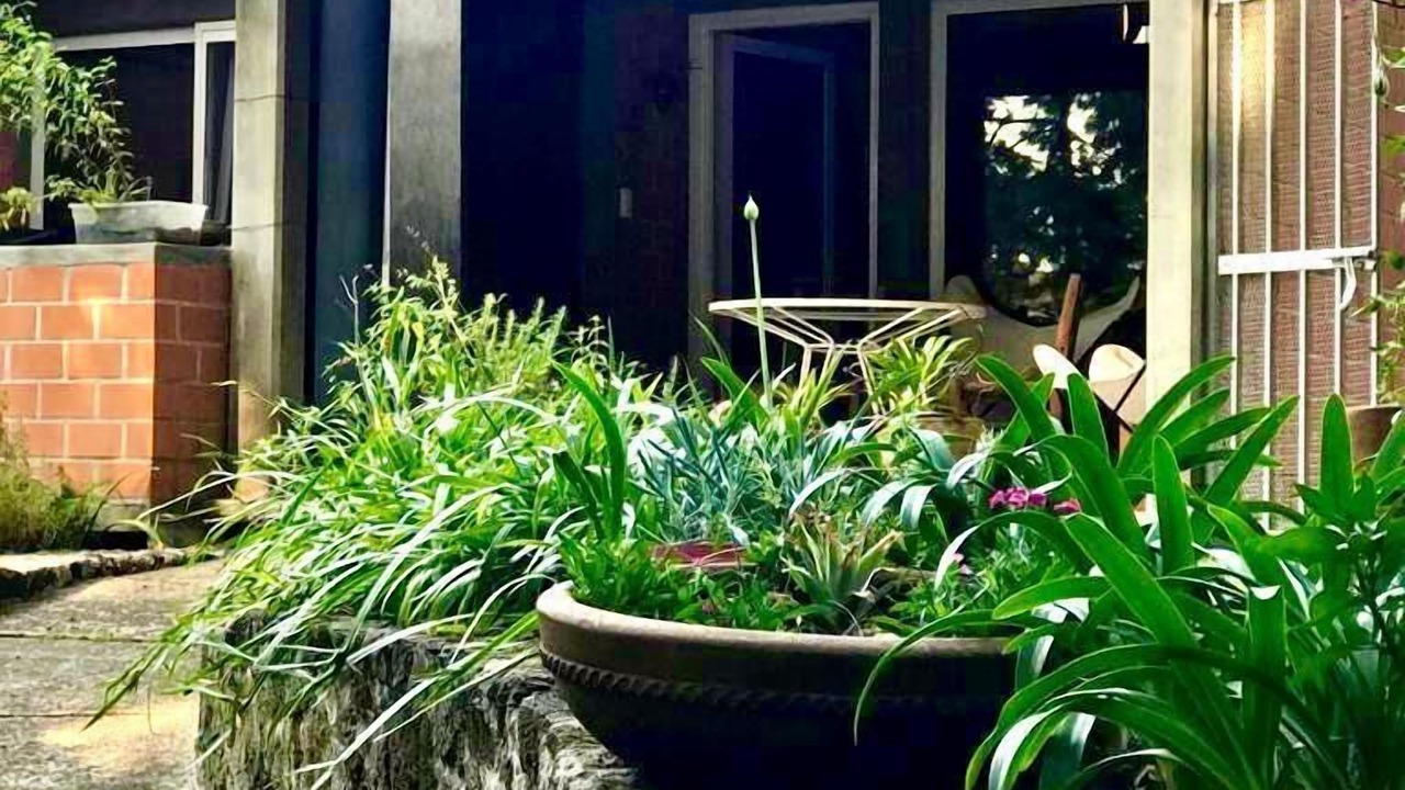 Photo of Outdoor in Jardines de Ahuatepec