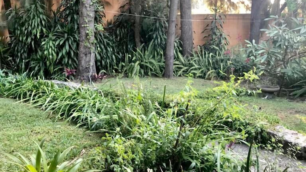 Photo of Outdoor in Jardines de Ahuatepec