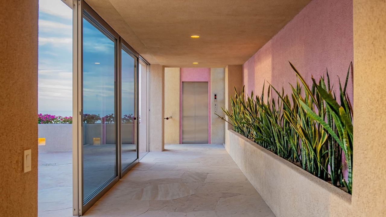 Photo of Others in Pedregal