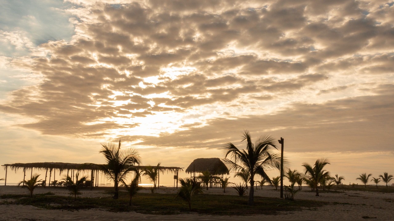 Photo of Others in Puerto Escondido