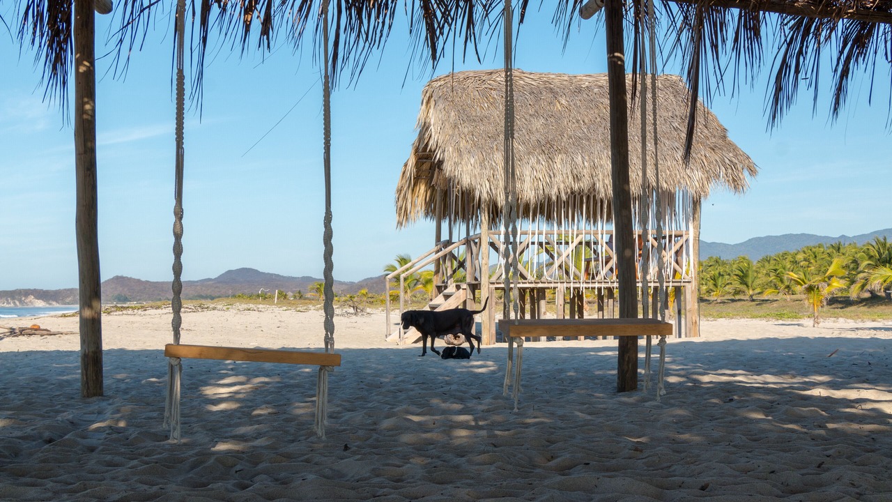 Photo of Others in Puerto Escondido
