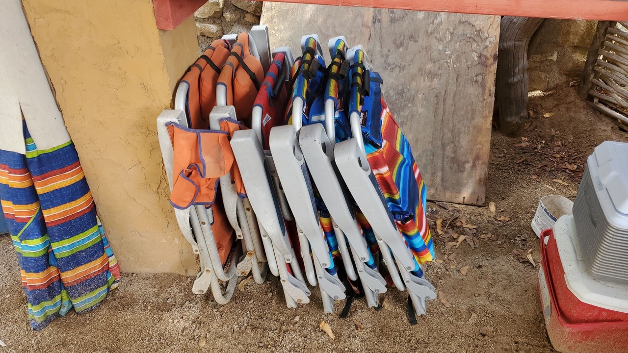 Photo of Others in Cabo Pulmo