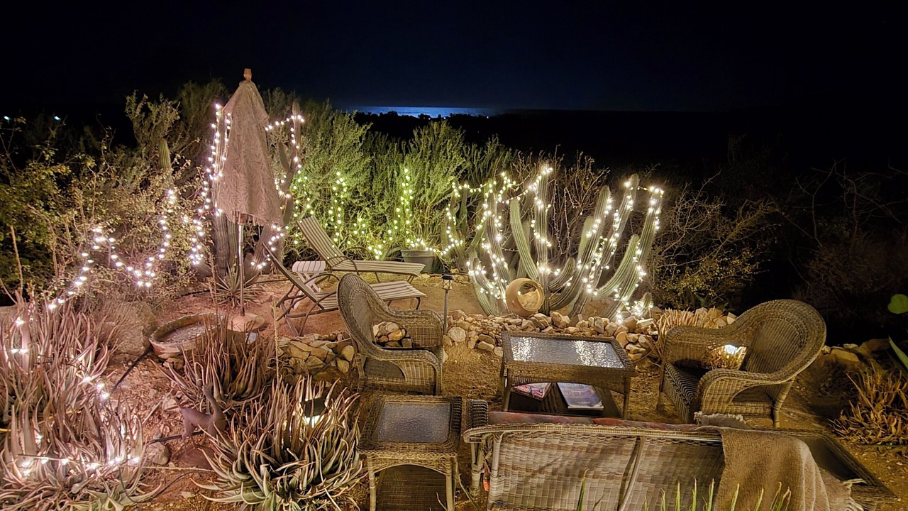 Photo of Outdoor in Cabo Pulmo