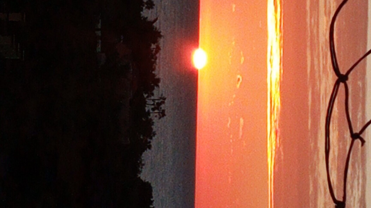 Photo of Outdoor in Cabo Pulmo