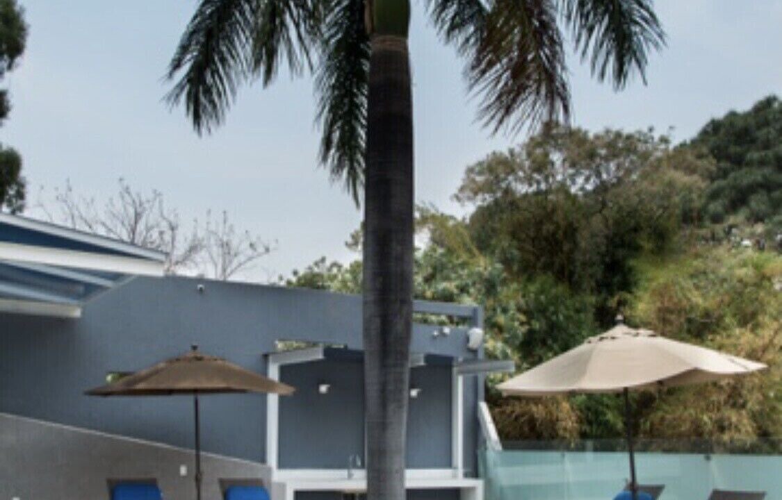 Photo of Outdoor in Cuernavaca