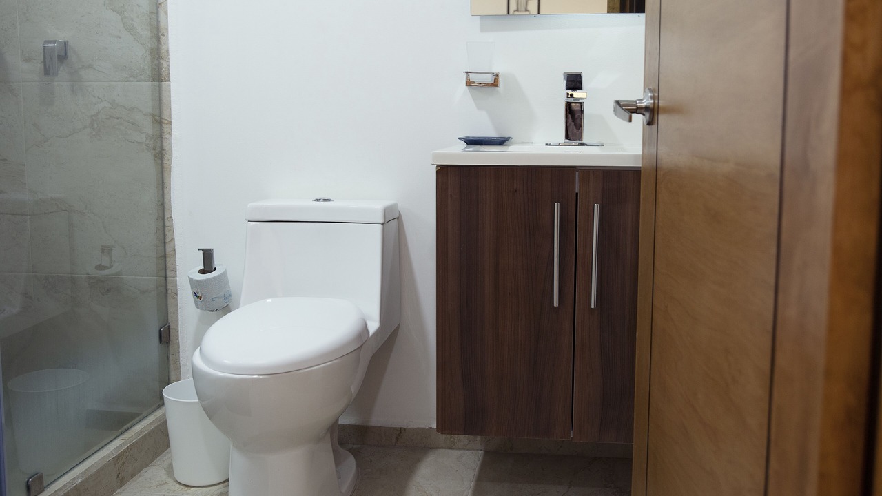 Photo of Bathroom in Colonia Cuauhtemoc