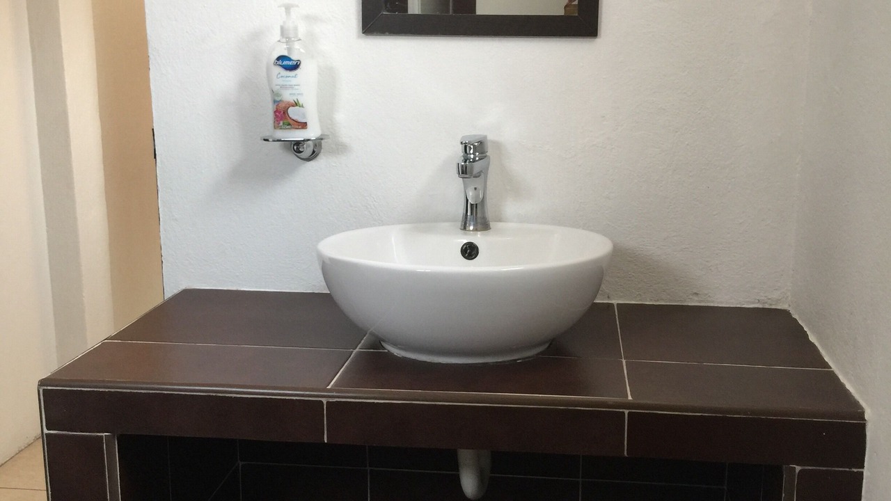 Photo of Bathroom in Venustiano Carranza